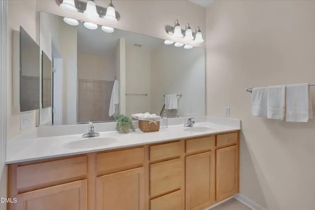 a bathroom with a sink vanity and a mirror