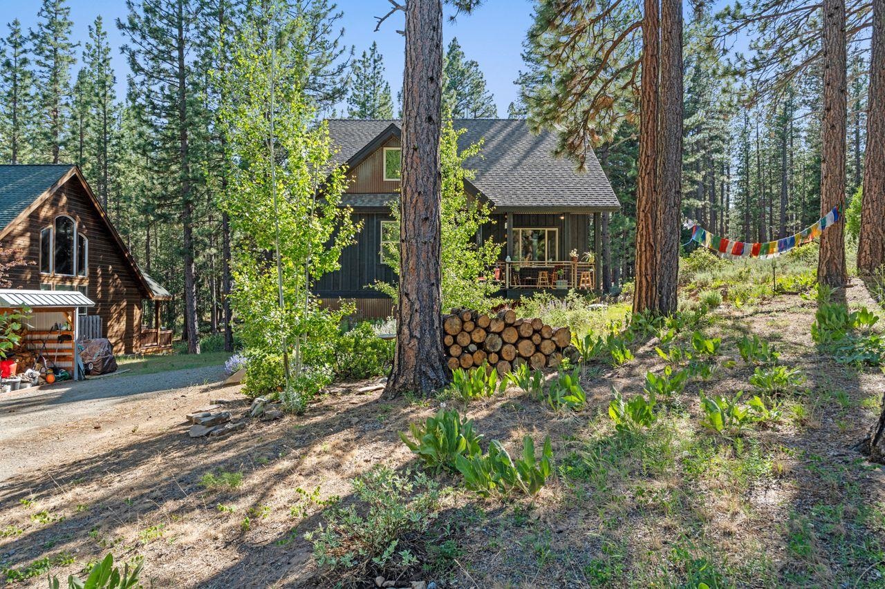 305 Mt View Road Calpine, CA 96124 - Photo 50 of 50