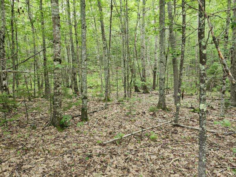 Lot 7-part West Neck Road Nobleboro, ME 04555 - Photo 2 of 6 image000001(20)