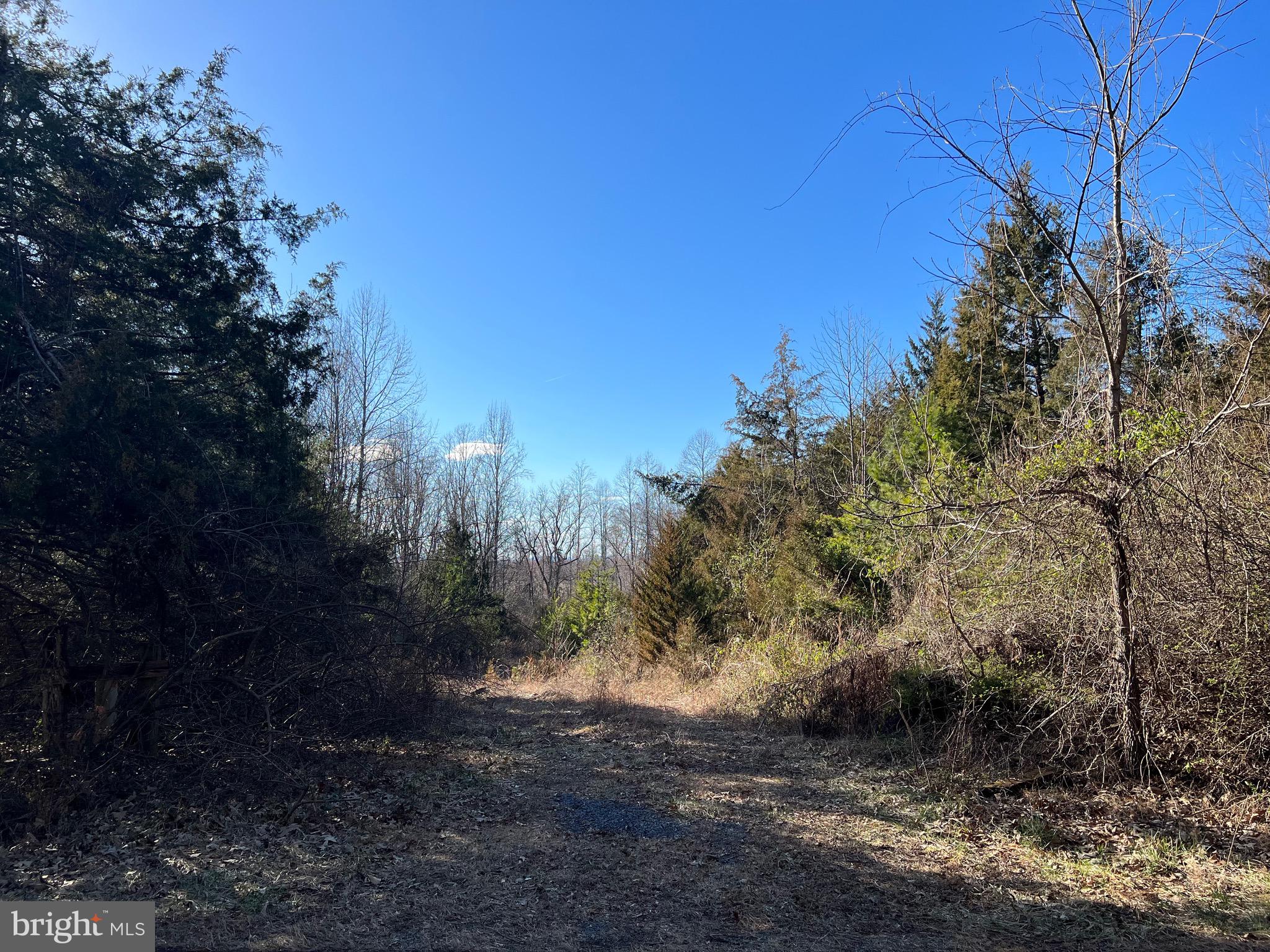 Lot 55-a-d Ellisville Road Orange, VA 22960 - Photo 1 of 7 Gallery Image 1