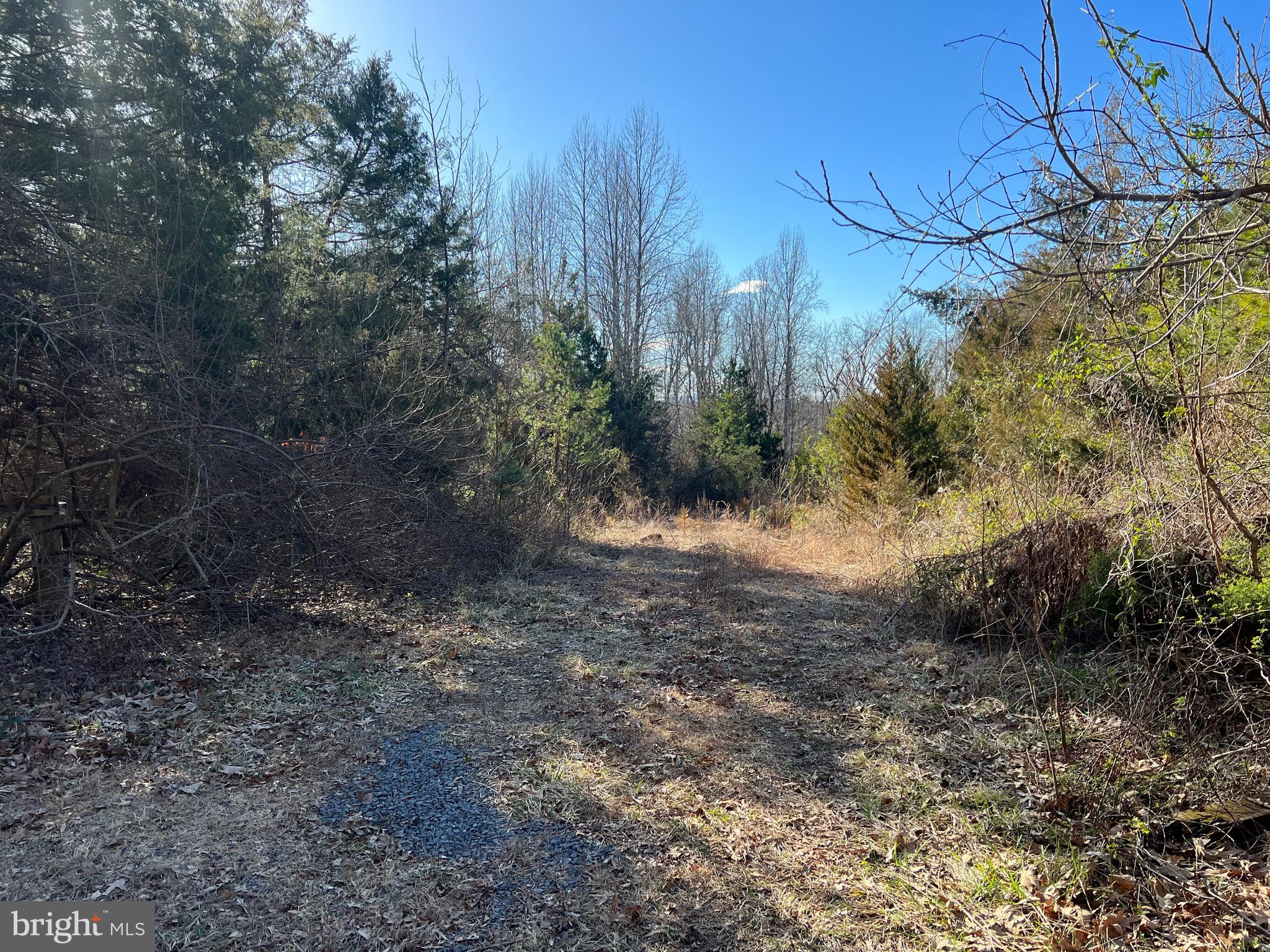 Lot 55-a-d Ellisville Road Orange, VA 22960 - Photo 3 of 7 Gallery Image 3