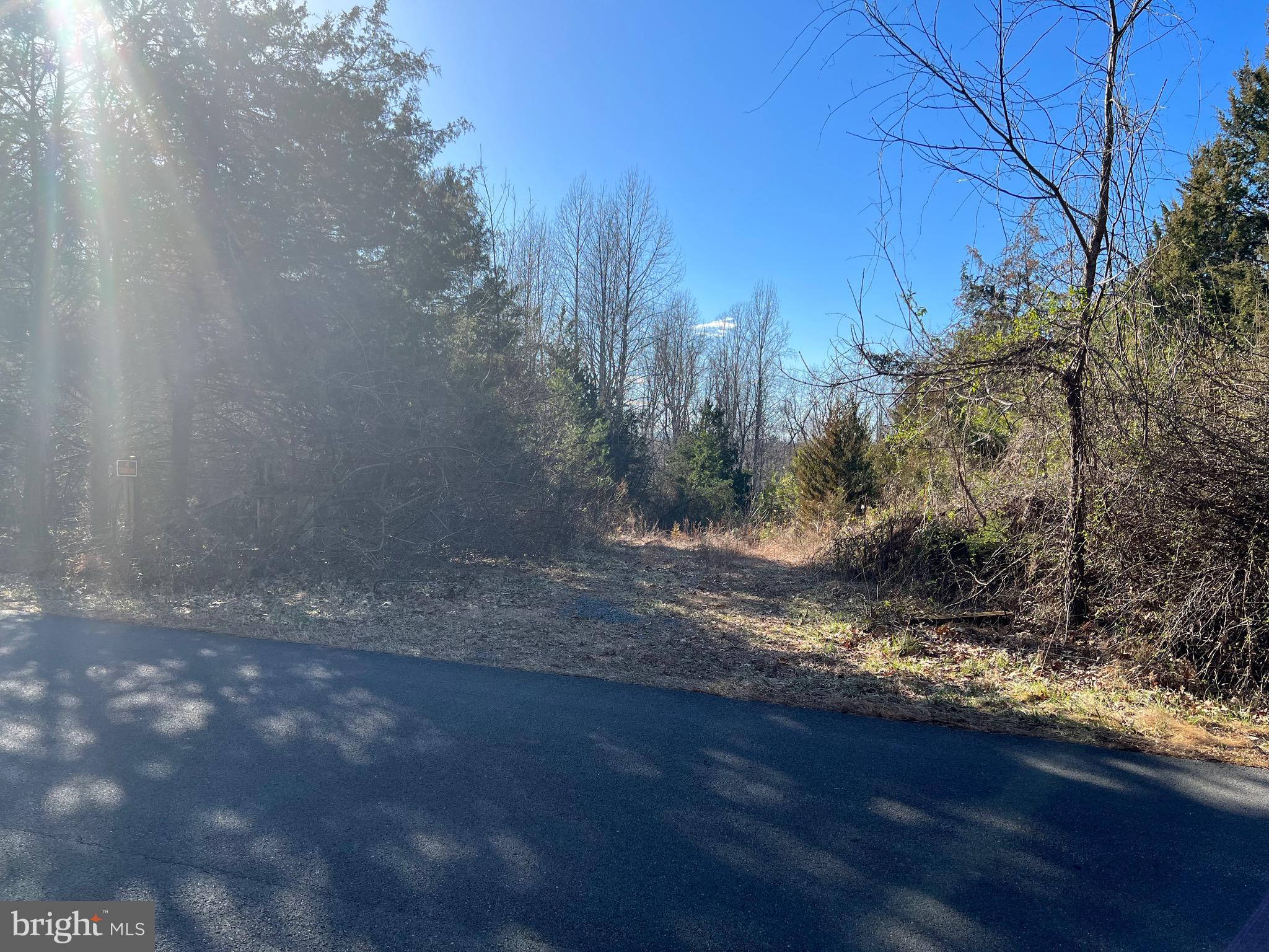 Lot 55-a-d Ellisville Road Orange, VA 22960 - Photo 4 of 7 Gallery Image 4