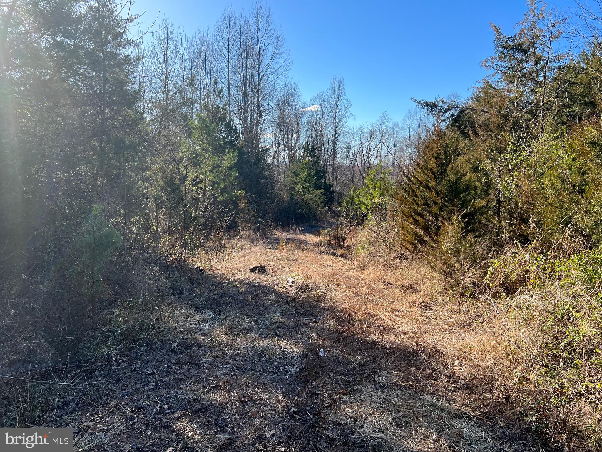 Lot 55-a-d Ellisville Road Orange, VA 22960 - Photo 5 of 7 Gallery Image 5