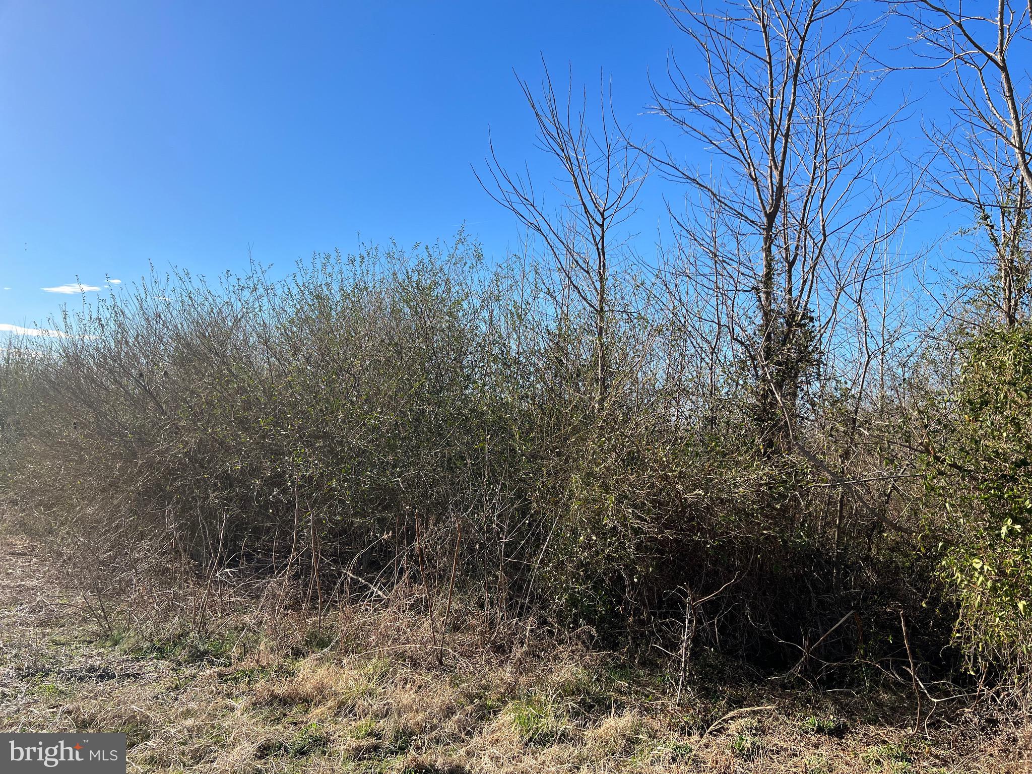 Lot 55-a-d Ellisville Road Orange, VA 22960 - Photo 7 of 7 Gallery Image 7
