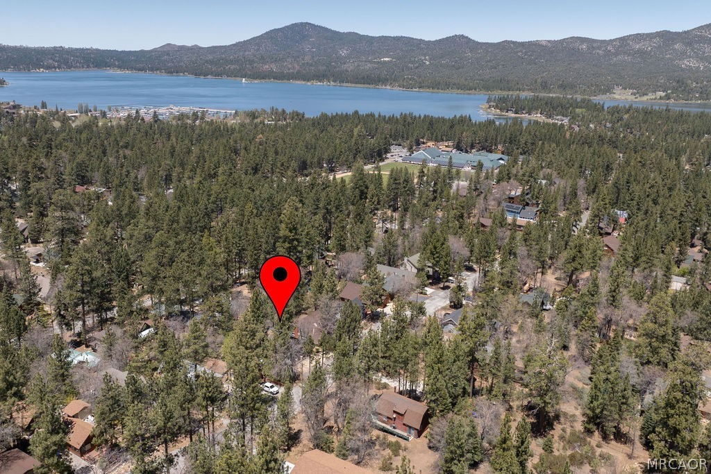 802 Conklin Road Big Bear Lake, CA 92315 - Photo 19 of 52