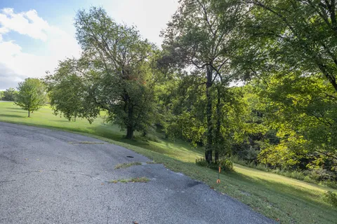 a view of a road with a trees in the background