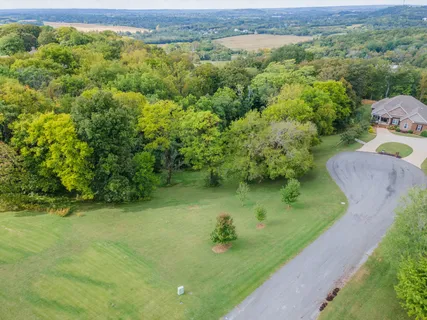 a view of a lush green forest with a houses
