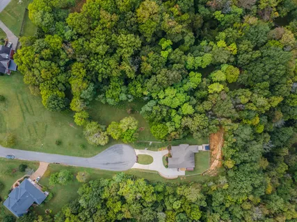 a view of a garden with a plant