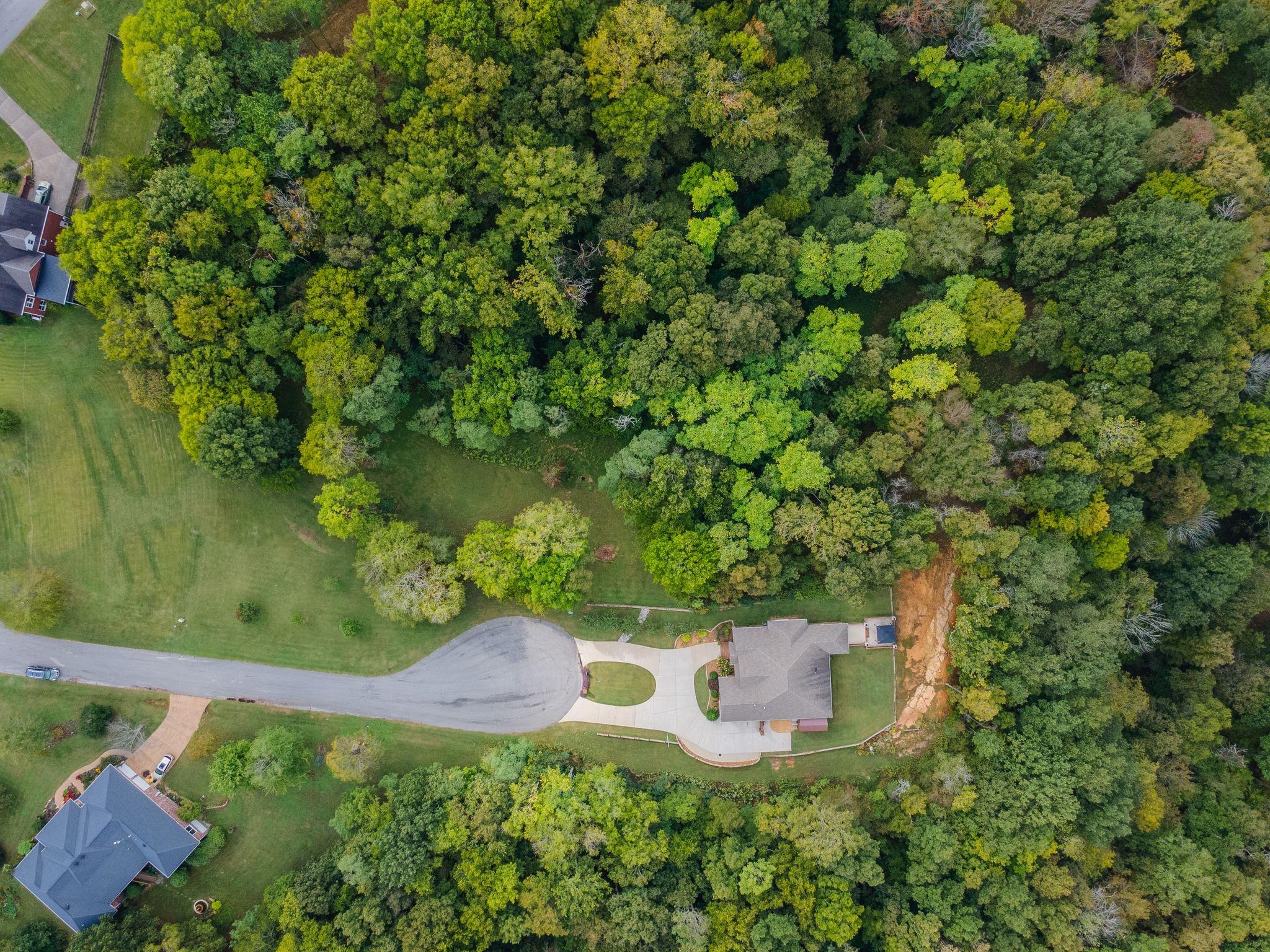 1202 Valarie Lane Columbia, TN 38401 - Photo 17 of 18 a view of a tree in a backyard of a house