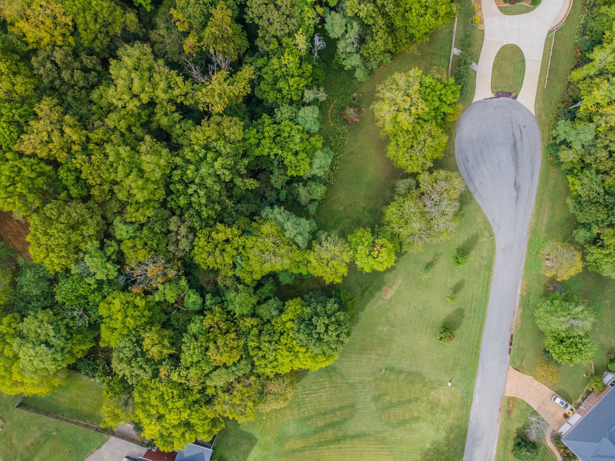 1202 Valarie Lane Columbia, TN 38401 - Photo 18 of 18 a view of a garden with a plant