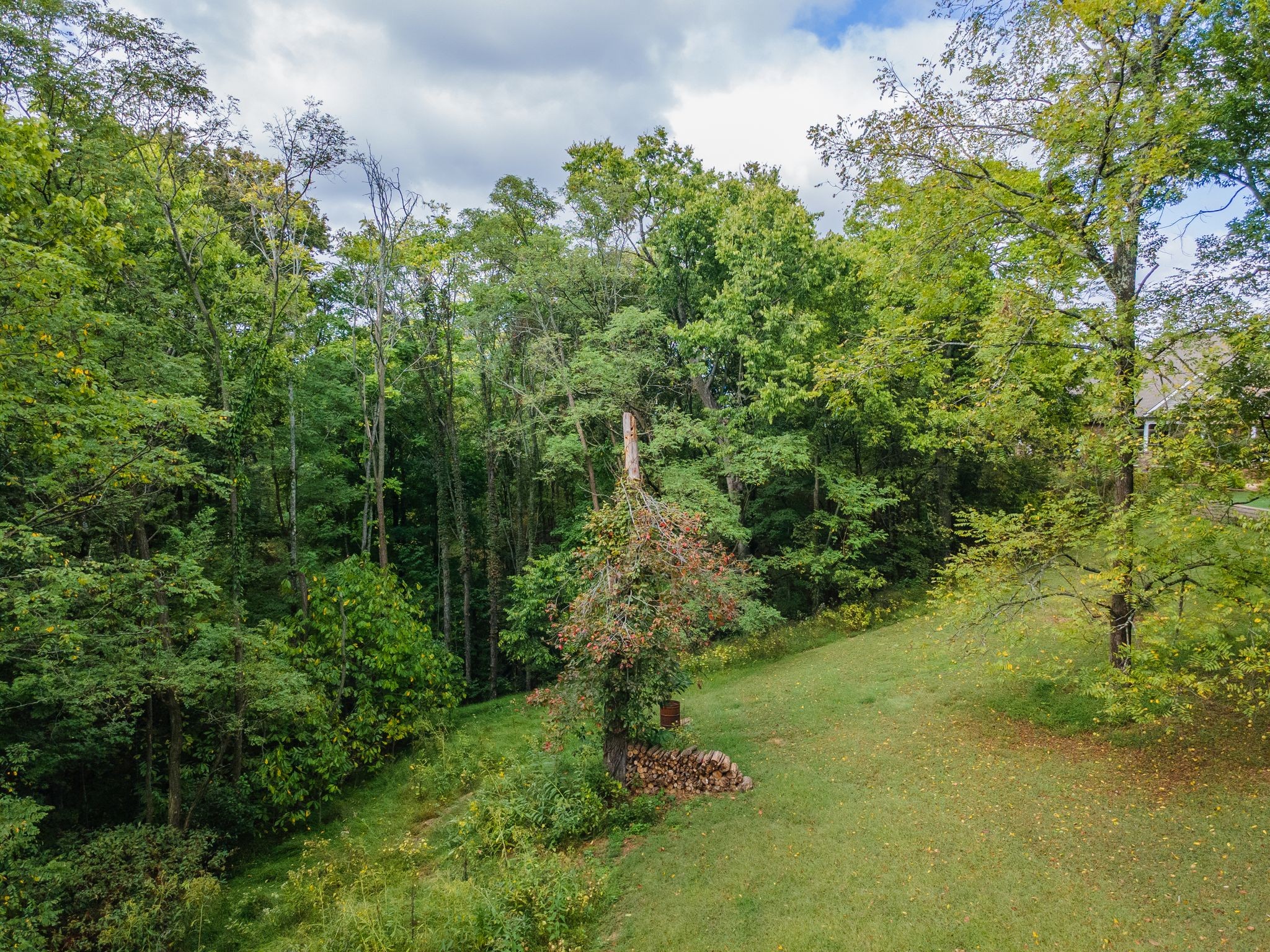 1202 Valarie Lane Columbia, TN 38401 - Photo 2 of 18 a view of a garden with plants