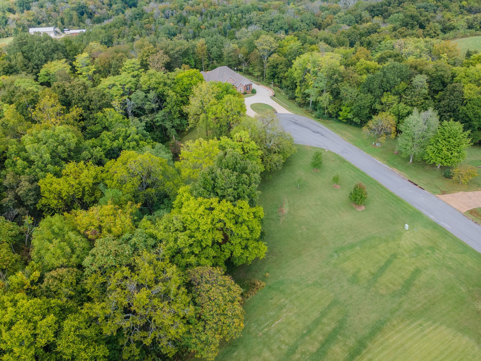 1202 Valarie Lane Columbia, TN 38401 - Photo 3 of 18 a view of a garden with a building