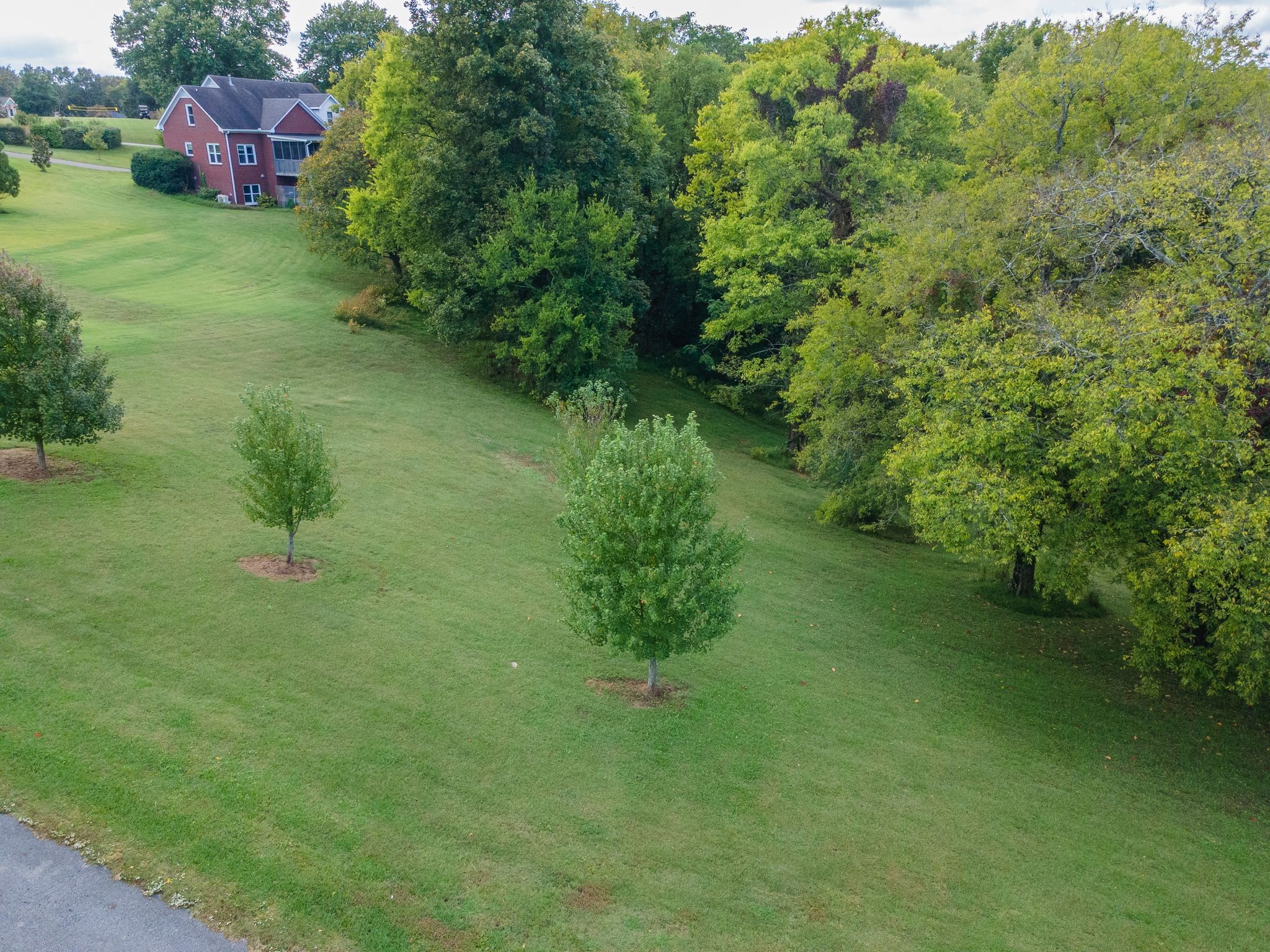 1202 Valarie Lane Columbia, TN 38401 - Photo 5 of 18 a yard with lots of green space