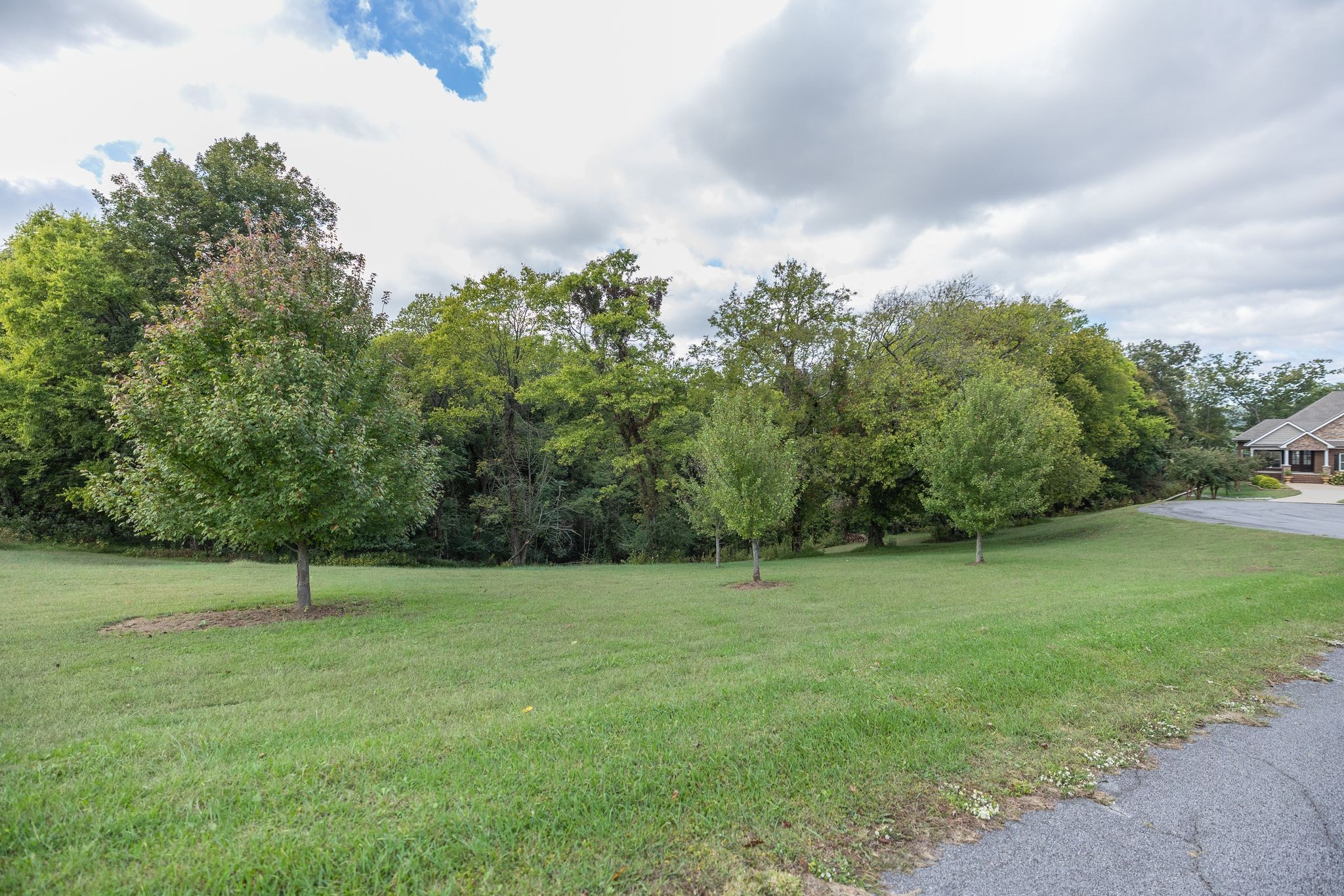 1202 Valarie Lane Columbia, TN 38401 - Photo 6 of 18 a view of outdoor space with deck and yard