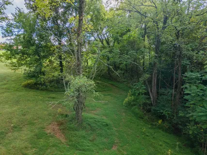 a big yard with lots of green space and trees