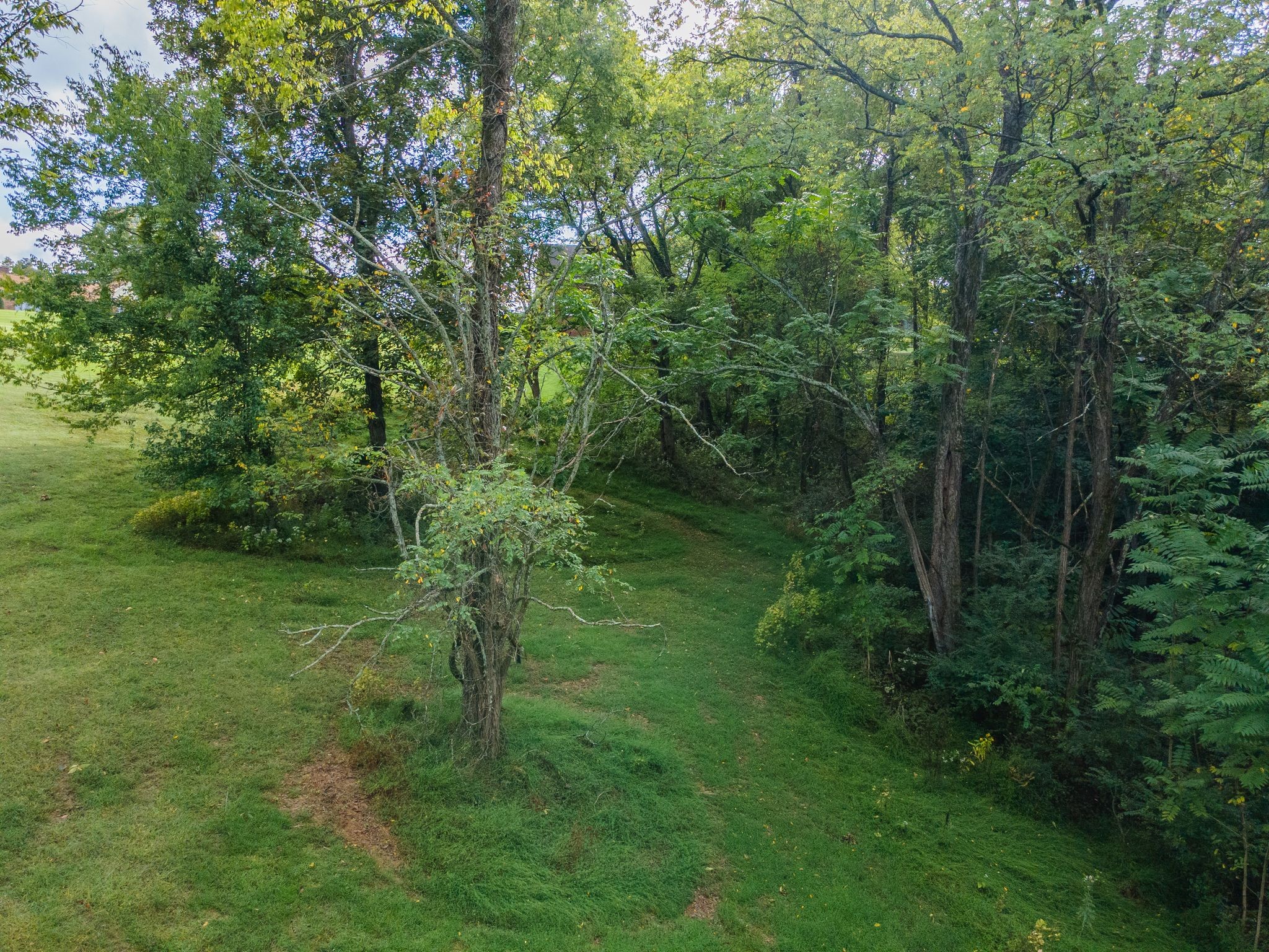 1202 Valarie Lane Columbia, TN 38401 - Photo 8 of 18 a big yard with lots of green space and trees