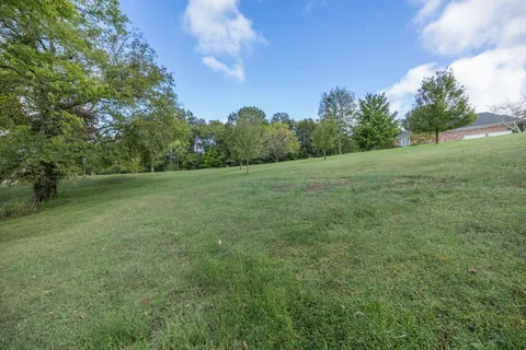 a view of a field with trees in background