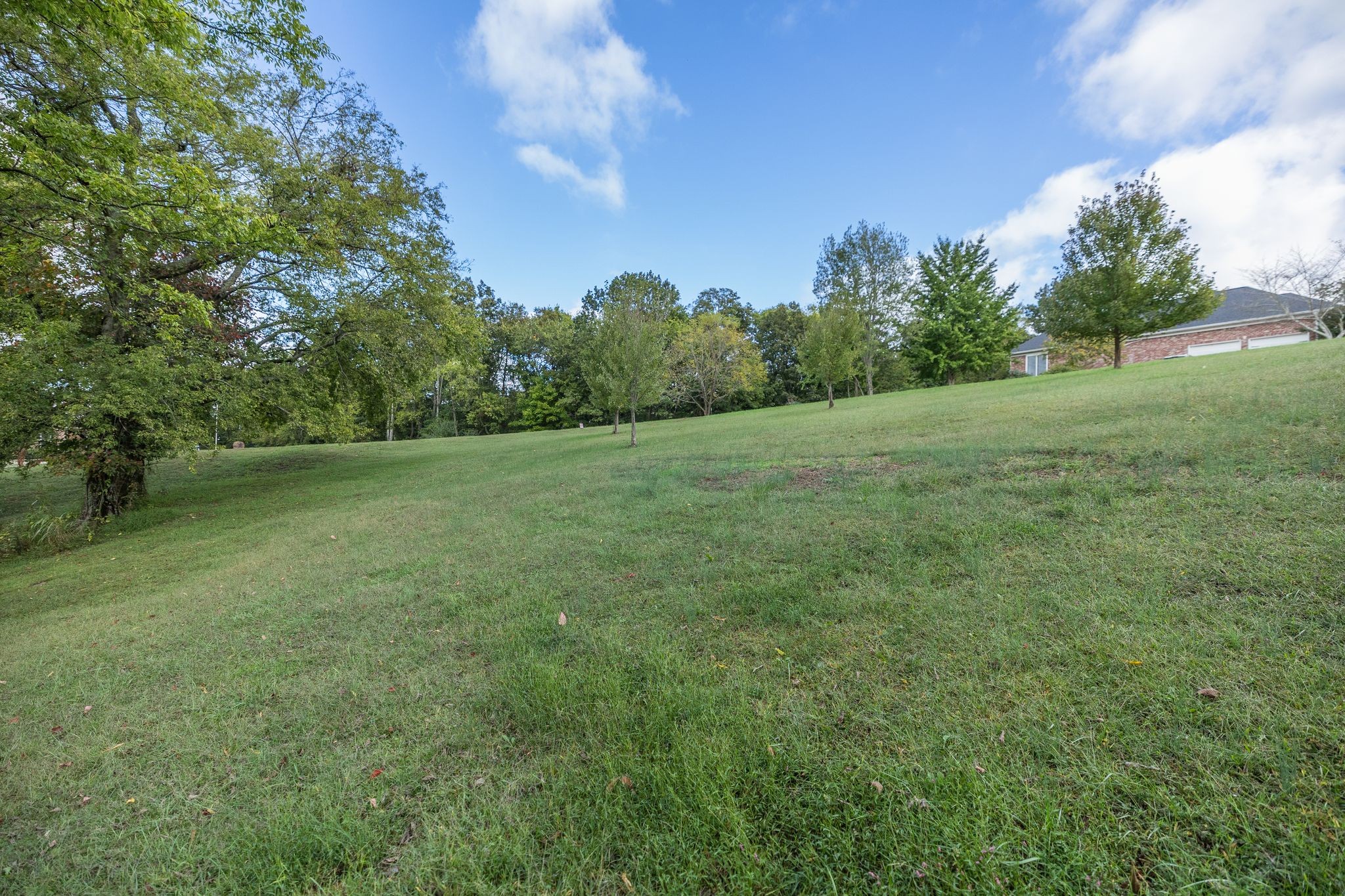 1202 Valarie Lane Columbia, TN 38401 - Photo 10 of 18 a view of a field with trees in background