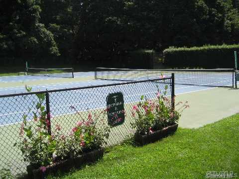 9 Tower Hill Road Shoreham, NY 11786 - Photo 35 of 41 Tennis & Pickleball courts