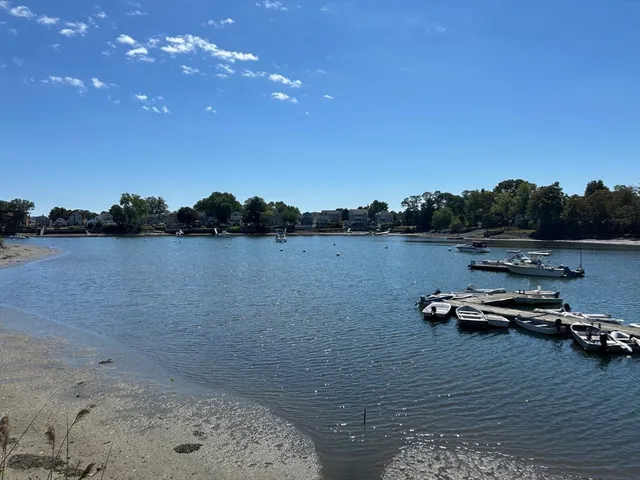 a view of a lake with boats and trees in the background