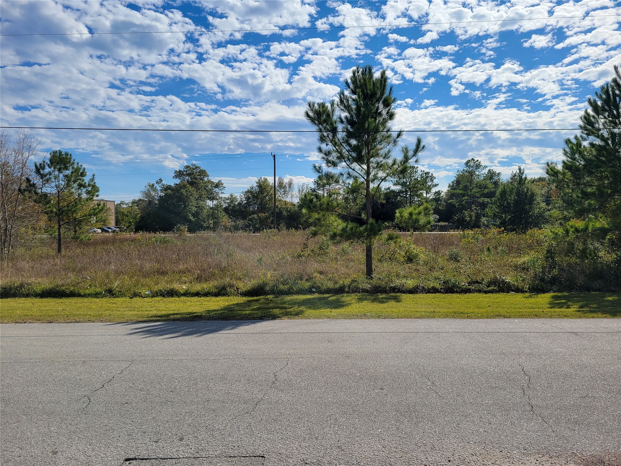 0 Hwy 105 Street Conroe, TX 77301 - Photo 12 of 15 a view of a park