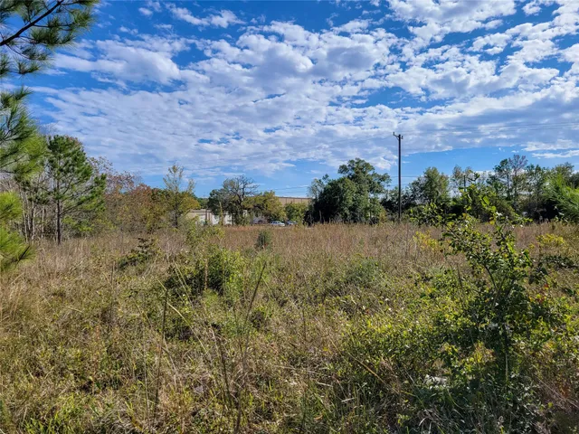 a view of lake with green space
