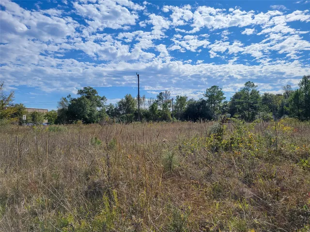 a view of a field with an trees