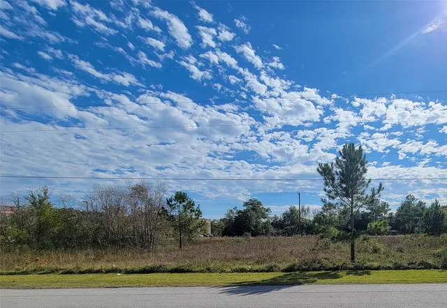 a view of a big yard with a large tree