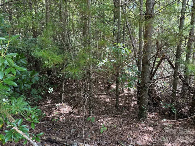 $29,900 | Tbd Staghorn Road, Unit 163, Purlear, NC 28665