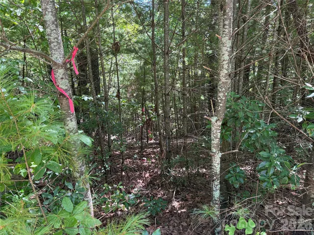 $29,900 | Tbd Staghorn Road, Unit 163, Purlear, NC 28665