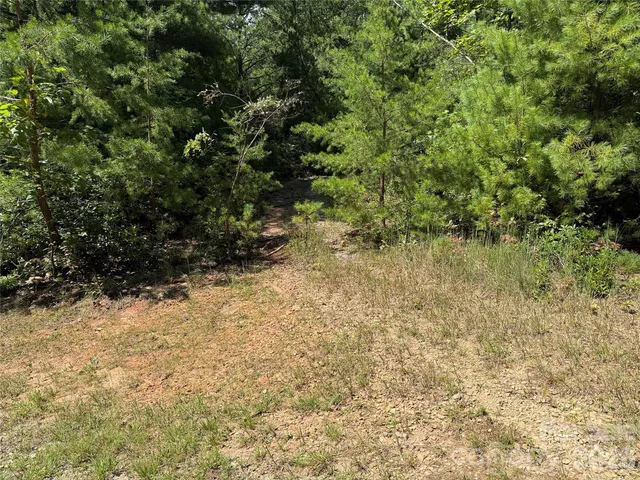 $29,900 | Tbd Staghorn Road, Unit 163, Purlear, NC 28665