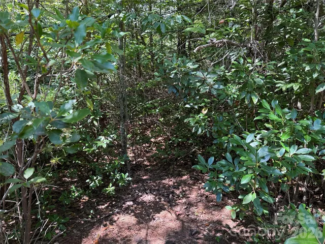 $29,900 | Tbd Staghorn Road, Unit 163, Purlear, NC 28665