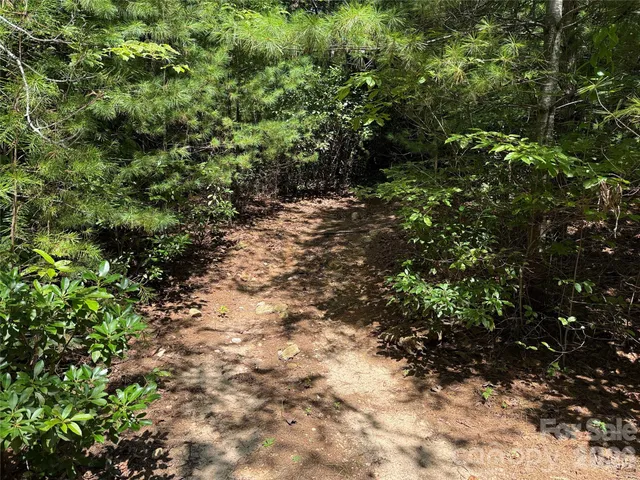 $29,900 | Tbd Staghorn Road, Unit 163, Purlear, NC 28665