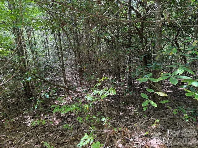 $29,900 | Tbd Staghorn Road, Unit 163, Purlear, NC 28665