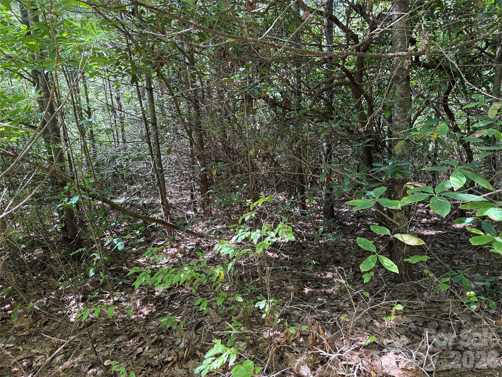 Tbd Staghorn Road, Unit 163 Purlear, NC 28665 - Photo 9 of 36