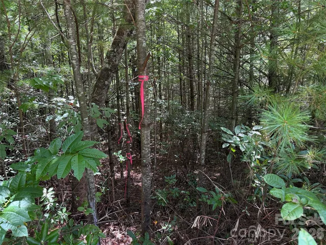 $29,900 | Tbd Staghorn Road, Unit 163, Purlear, NC 28665