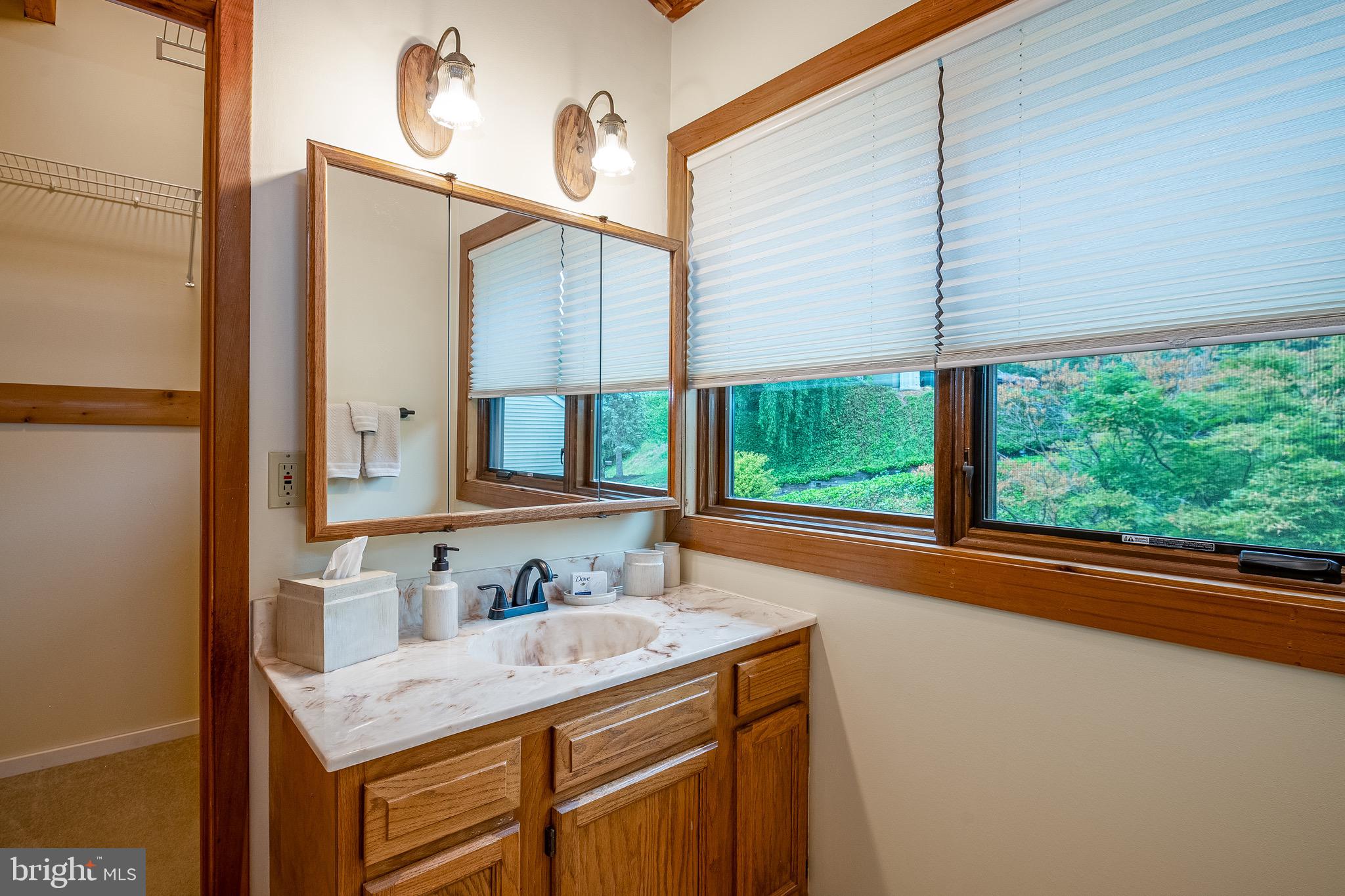 40 Golfview Lane Reading, PA 19606 - Photo 27 of 48 a bathroom with a granite countertop sink and a large window