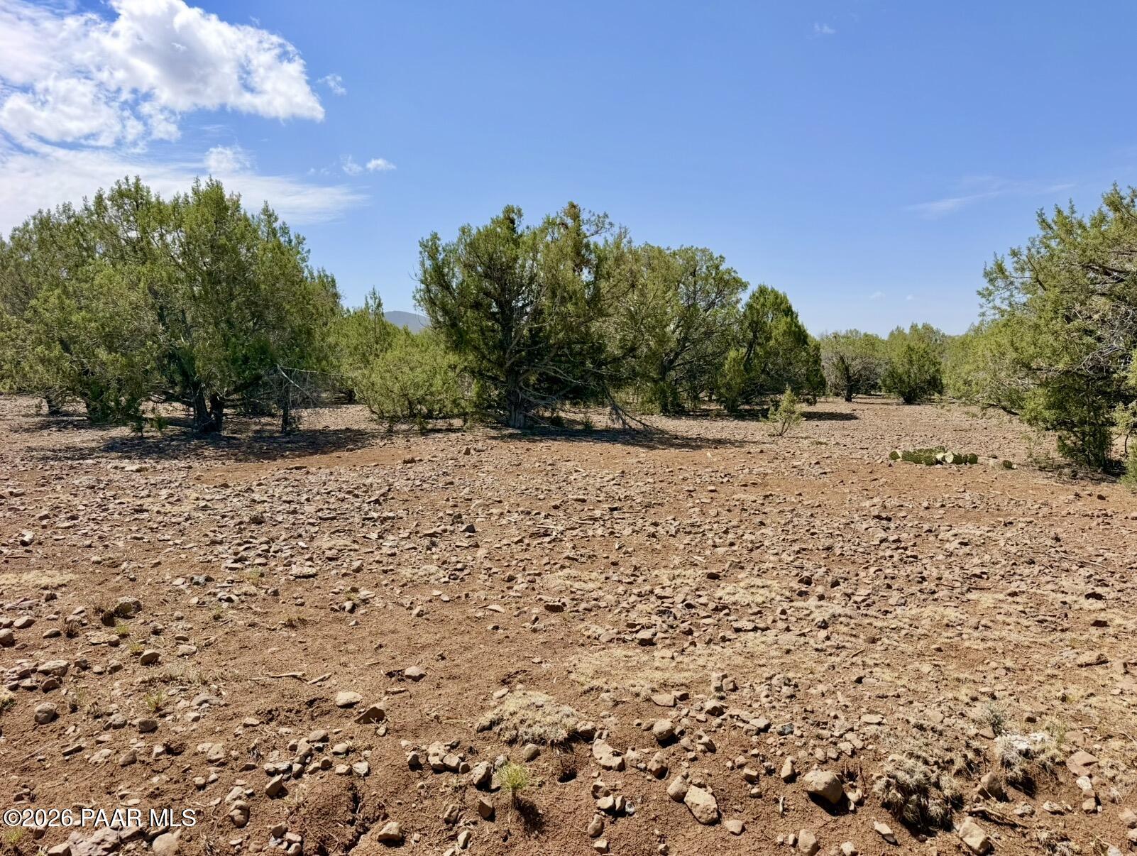 17169 Beale Wagon Road Seligman, AZ 86337 - Photo 51 of 55 Beale Wagon Homestead