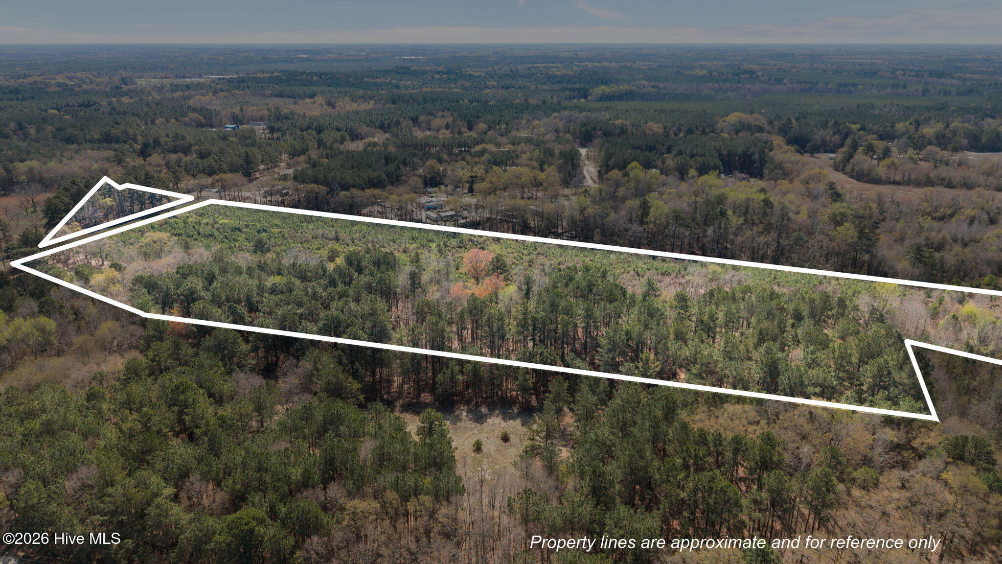 Tbd Scholl Road Hamlet, NC 28345 - Photo 4 of 12 SCHOLL ROAD LAND - 15+ ACRES