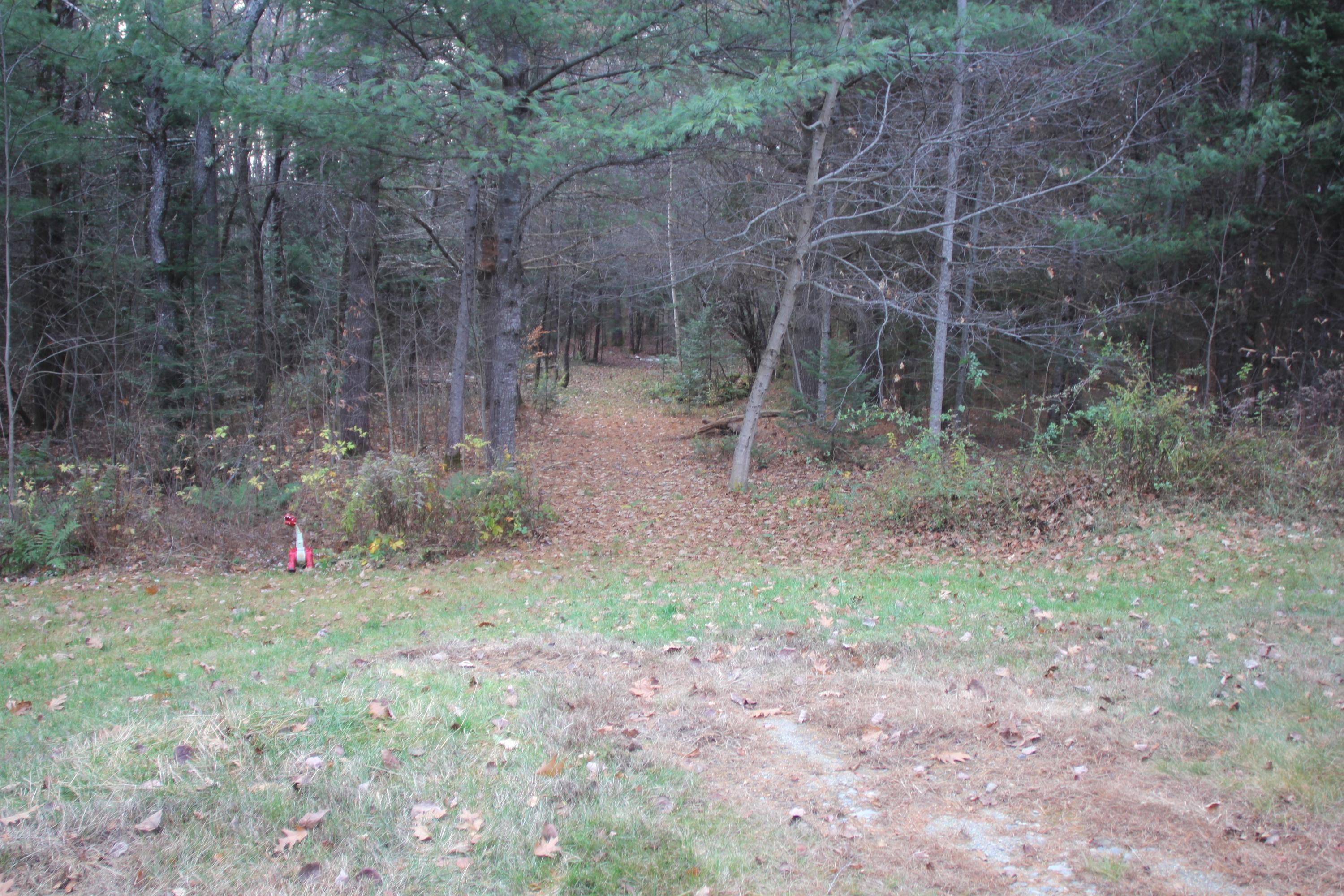 Tbd Tbd North Road Athens, ME 04912 - Photo 1 of 1 IMG_6740