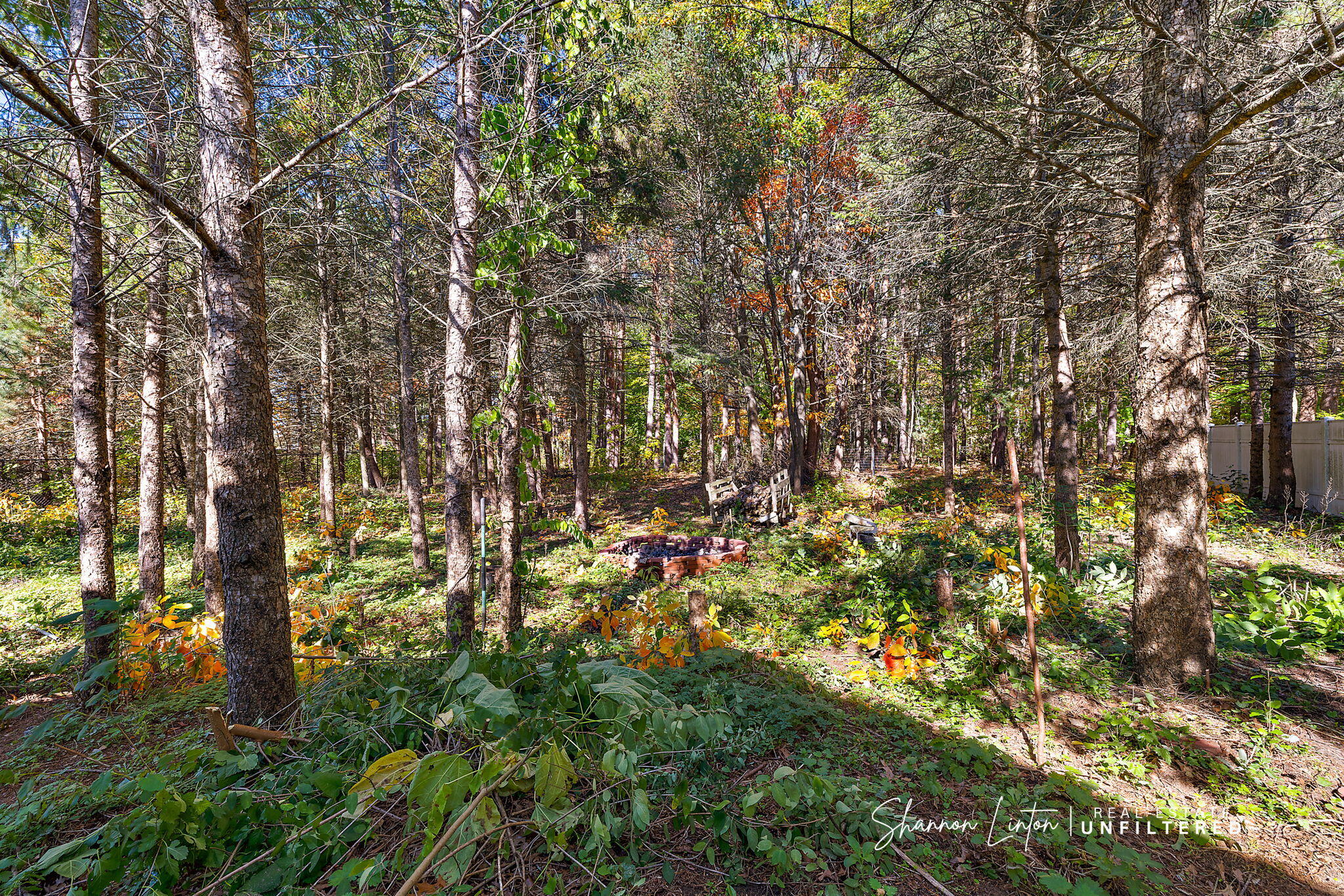 15777 Rannes Street Spring Lake, MI 49456 - Photo 9 of 87 69-web-or-mls-2R9A8851