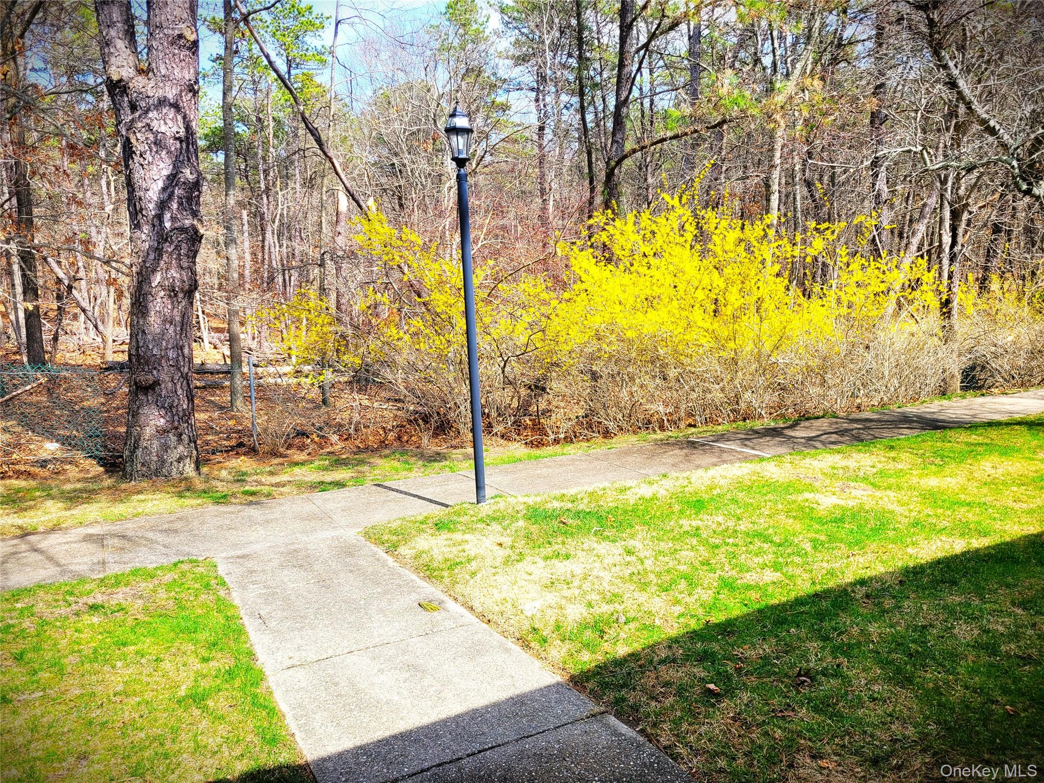 375 Woodbridge Drive, Unit C Ridge, NY 11961 - Photo 17 of 20