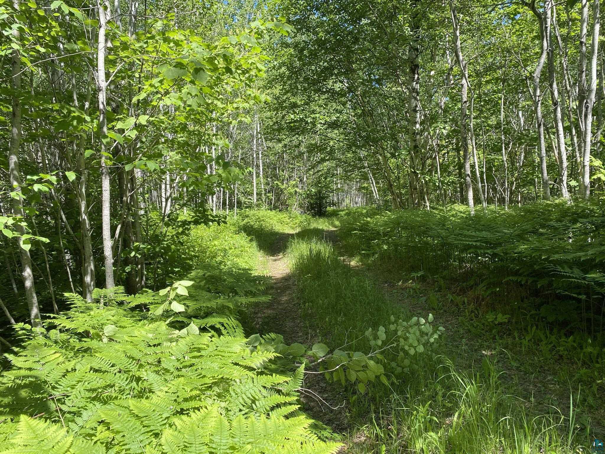 Xx Coyote Ridge Grand Marais, MN 55604 - Photo 3 of 8