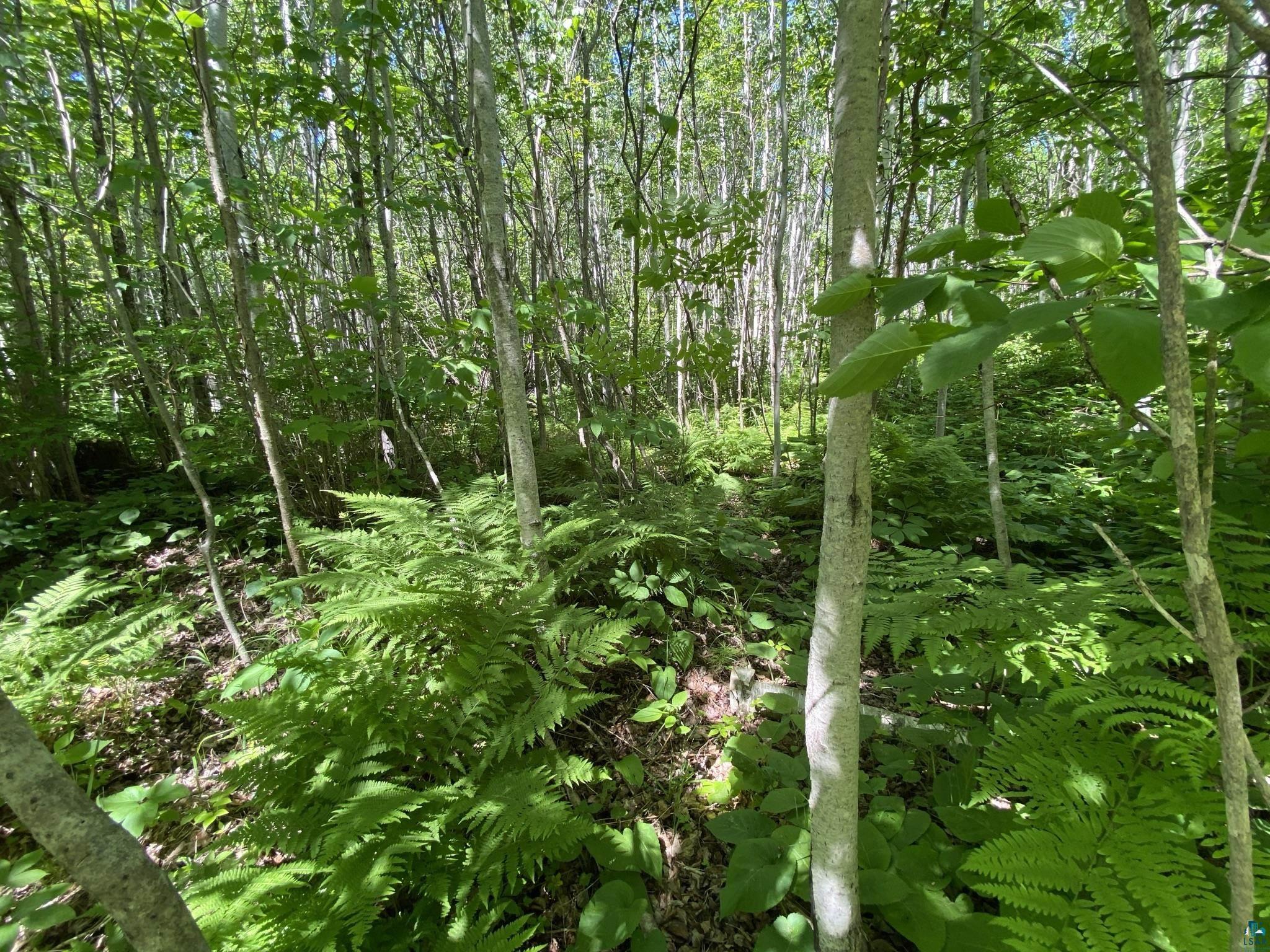 Xx Coyote Ridge Grand Marais, MN 55604 - Photo 4 of 8