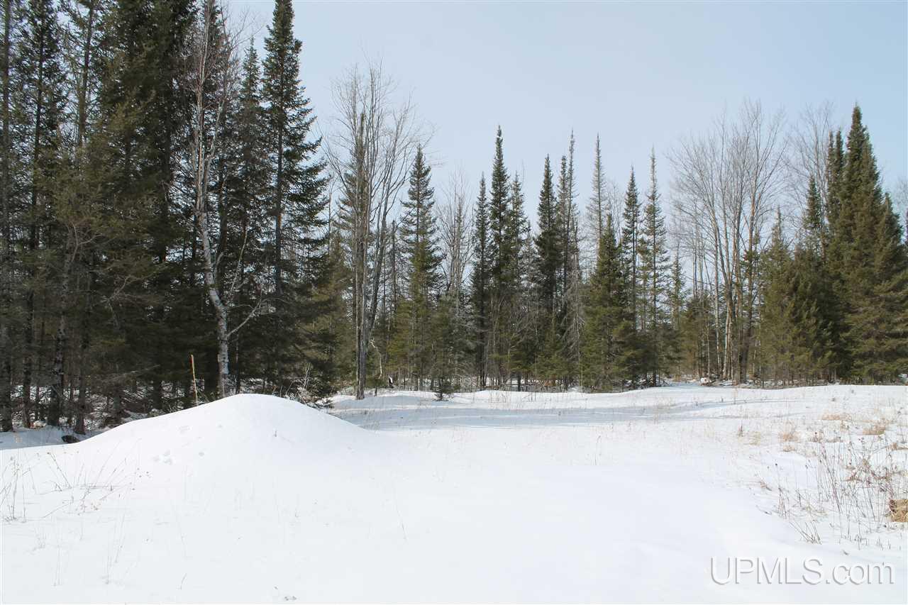 3315 Co Road Cornell, MI 49818 - Photo 44 of 50
