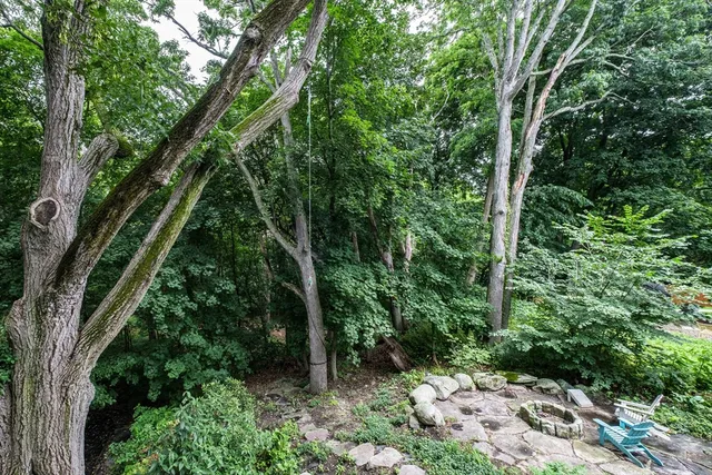 a view of outdoor space and trees all around