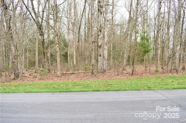 a view of a yard with large trees