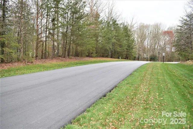 a view of a yard with a plant