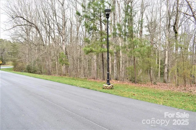 a view of a forest filled with trees