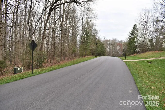 a view of a park with large trees